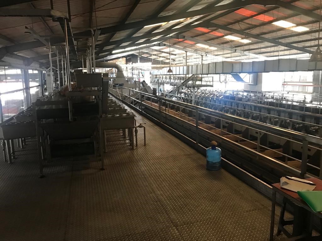 Coconut Processing