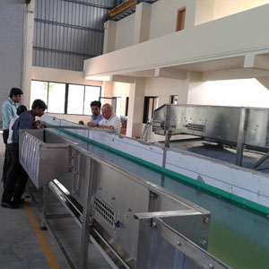 Conveyor system